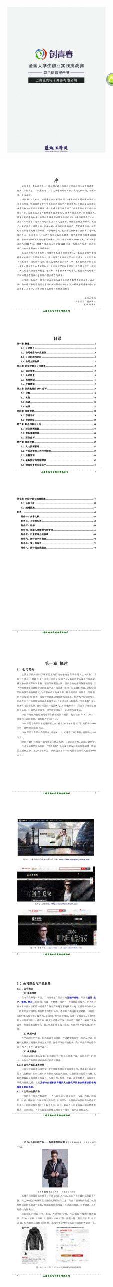 上海巨尚电子商务有限公司项目运营报告